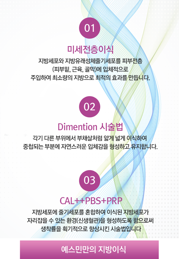 예스민만의 지방이식